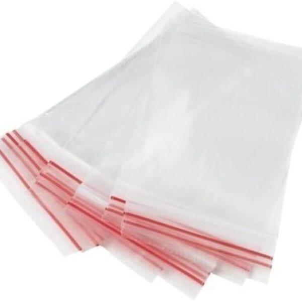 TRASPARENT SEAL BAG